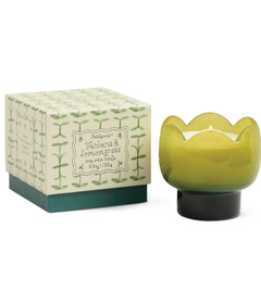 Paddywax Tulip Glass Candle Verbena & Lemongrass