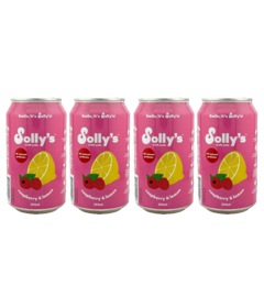 Solly's Soda Raspberry & Lemon Bundle