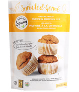 Second Spring Organic Sprouted Wheat Pumpkin Muffins Mix