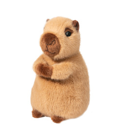image of Douglas Mini Soft Chattie Capybara  with sku:329728