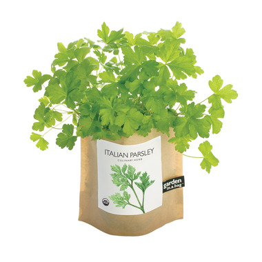 Buy Potting Shed Creations Parsley Garden-in-a-Bag at Well 