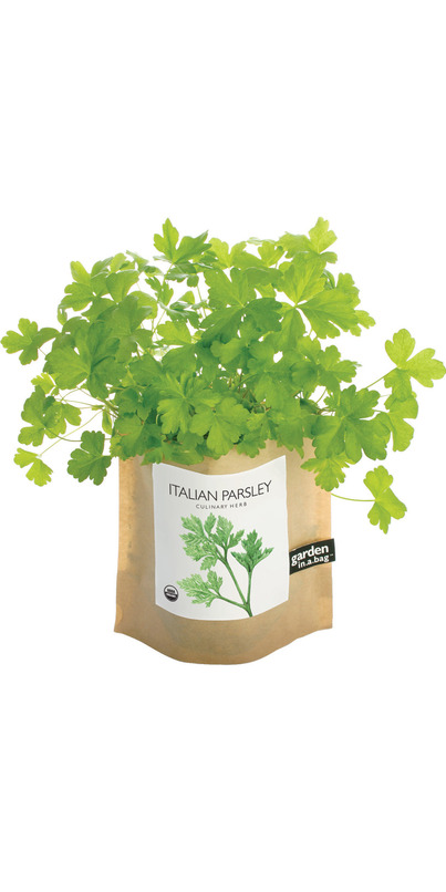 Buy Potting Shed Creations Parsley Garden-in-a-Bag at Well 