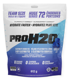 PVL PRO H2O Electrolyte Drink Mix Arctic Breeze