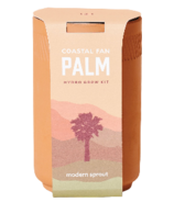 Modern Sprout Terracotta Kit Palm