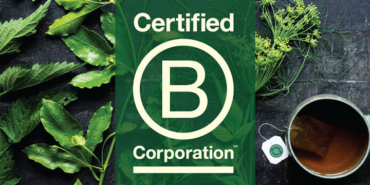 certified b corporation symbol with leafy background
