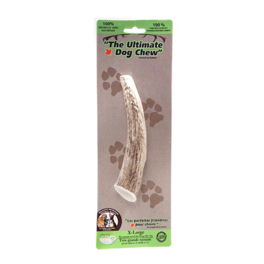 Buy dog hot sale products