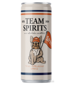 Team Spirits Non-Alcoholic Spritz 0.0% ABV
