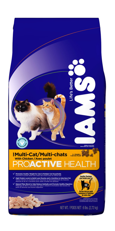 iams multi cat