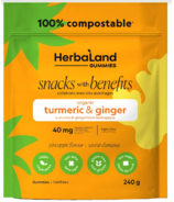 Herbaland Snacks With Benefits Turmeric Ginger