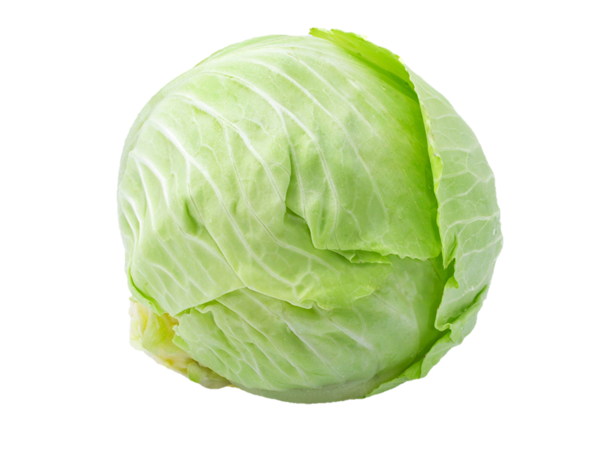 Organic Green Cabbage