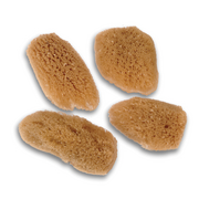 Face Sea Sponges (3-pack)