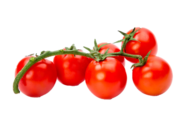 Organic mini Apero Savoura Tomatoes