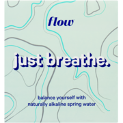 Flow 100% Naturally Alkaline Spring Water 6 Packs x 1 L