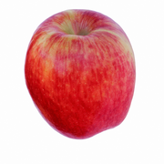 pommes ambrosia biologiques