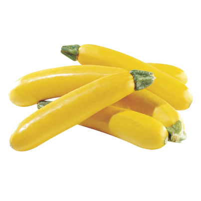 Zucchini jaune Biologiques