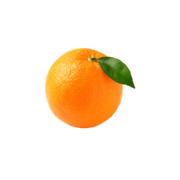 Oranges petite Biologiques