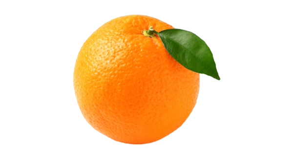 Oranges Biologiques
