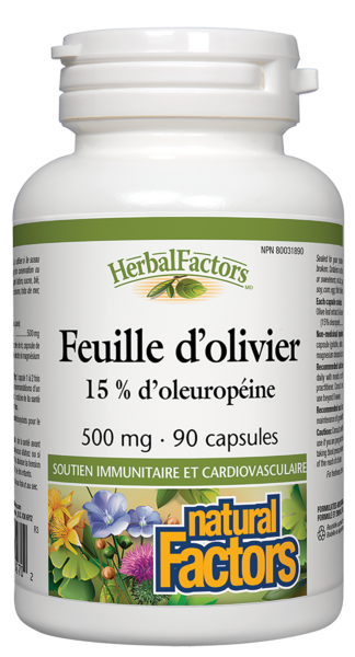 Natural Factors Feuille d’olivier  500 mg  90 capsules