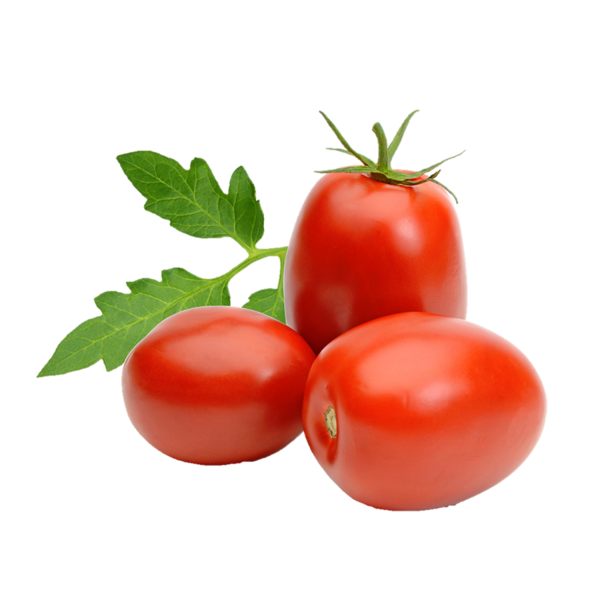 Tomates Roma biologiques