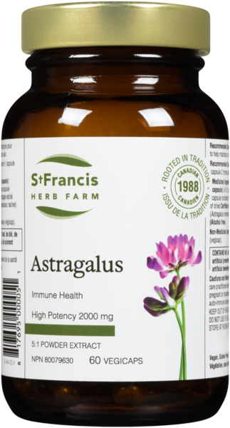 St Francis Capsules astragale