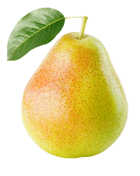 Organic Tosca Pears