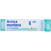 Boiron Arnica Montana 6 ch Médicament Homéopatique 4 g