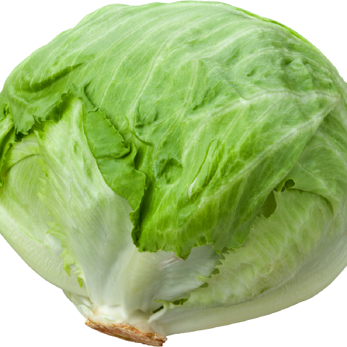 Organic Iceberg Lettuce