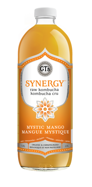 GT'S Kombucha Synergy mangue mystique