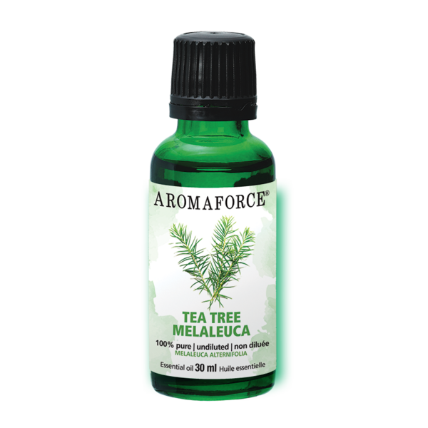 Aromaforce® Melaleuca – Huile essentielle