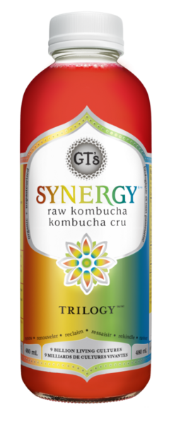 GT's Living Foods Synergy Kombucha Biologique Trilogy 480 ml