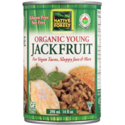 Native Forest Organic Young Jackfruit 398 ml