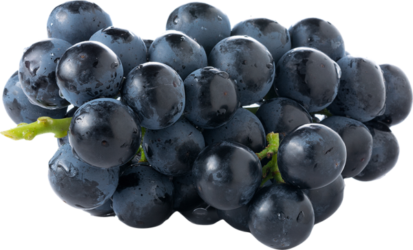 Organic Blue grapes 