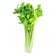 Organic Celeri