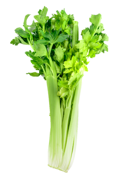 Organic Celeri