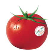 Savoura Tomates Carpaccio Biologique