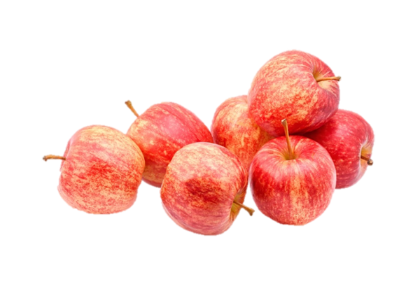 Pommes Royal Gala biologiques 5lb