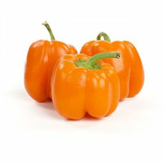 Pepper - Orange