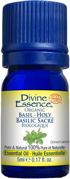 huile essentielle de basilic-sacre