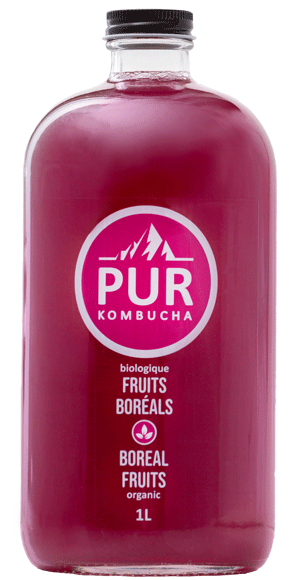 Pur Kombucha Biologique  Fruits boreal