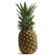 Pineapple Small
