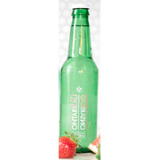 Sparkling Spring Water - Small - Grapefruit Mint
