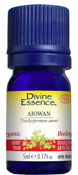 huile essentielle Ajowan bio
