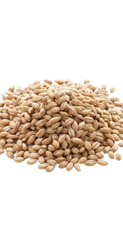 Bulk Organic Barley