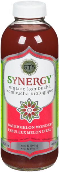 GT'S Synergy Kombucha Biologique Fabuleux Melon d'Eau 480 ml