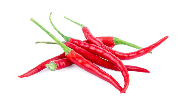 Organic Thai chili pepper