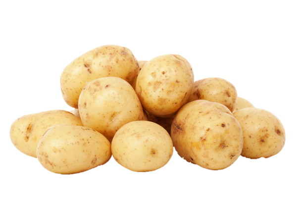 Patates blanche Biologiques