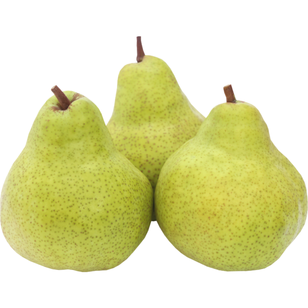 Organic Anjou Pears