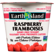 Earth Island Dairy-Free Yogurt Raspberry 150 g