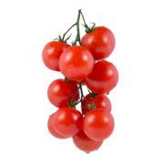 Organic Apero Tomatoes