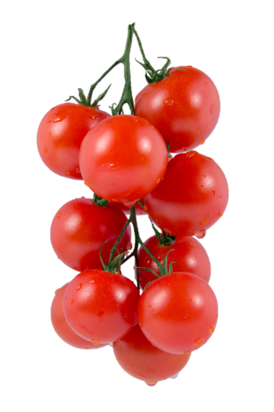 Tomates Apero Biologiques